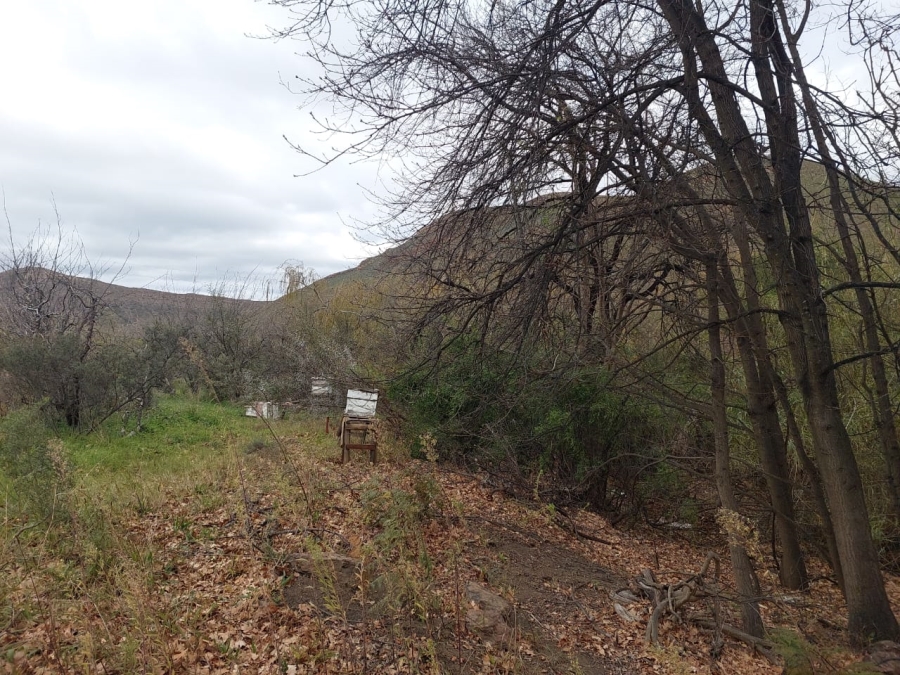 7 Bedroom Property for Sale in Ladismith Rural Western Cape